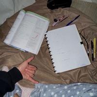 user profile picture