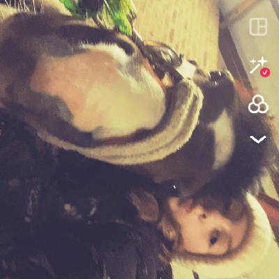 user profile picture