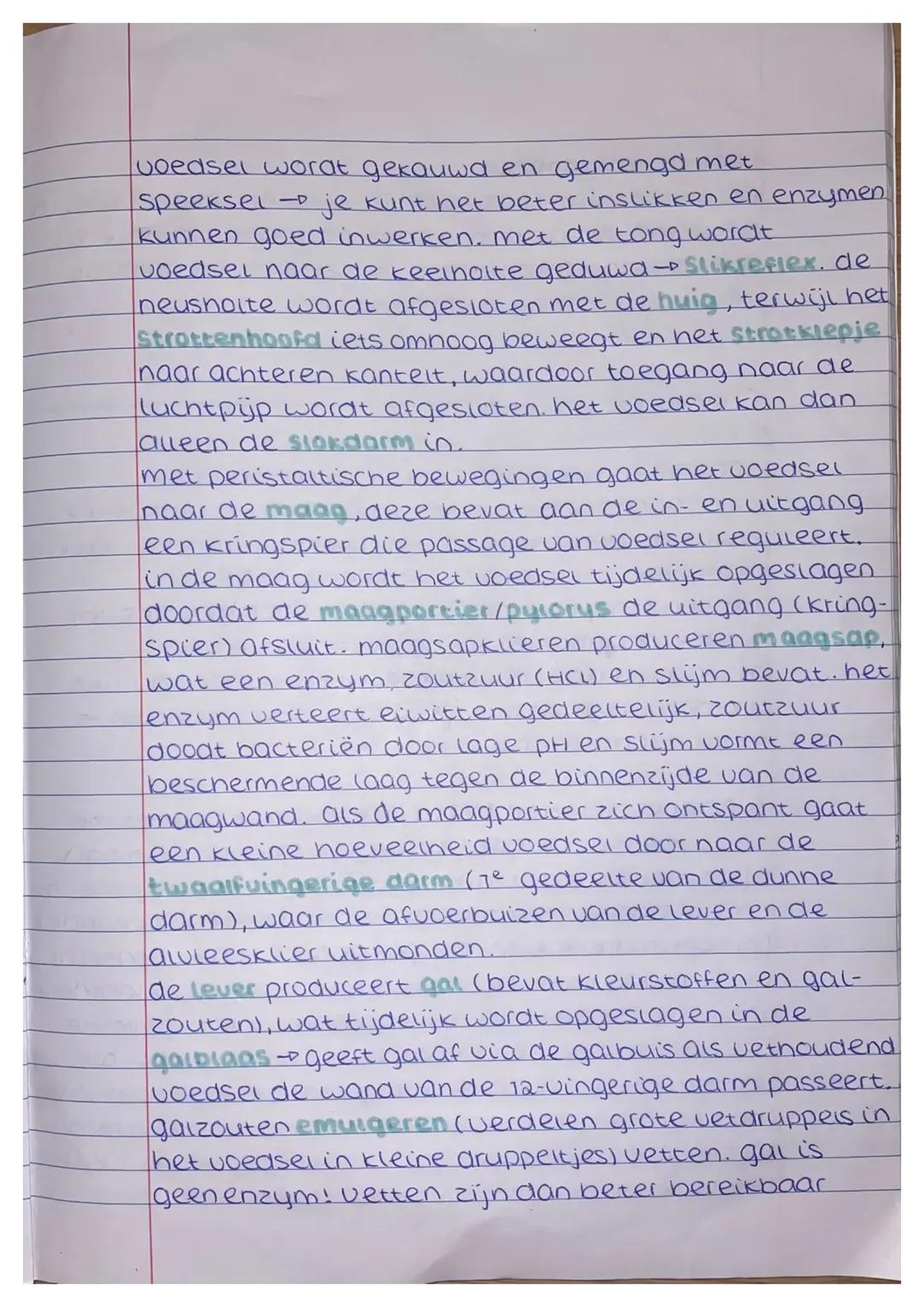 ## Wertering thema 1
### voedingsstoffen
alles wat je eet of arinkt, zijn voedingsmiddelen,
deze bevatten voedingsstoffen. 6 groepen:
- ei