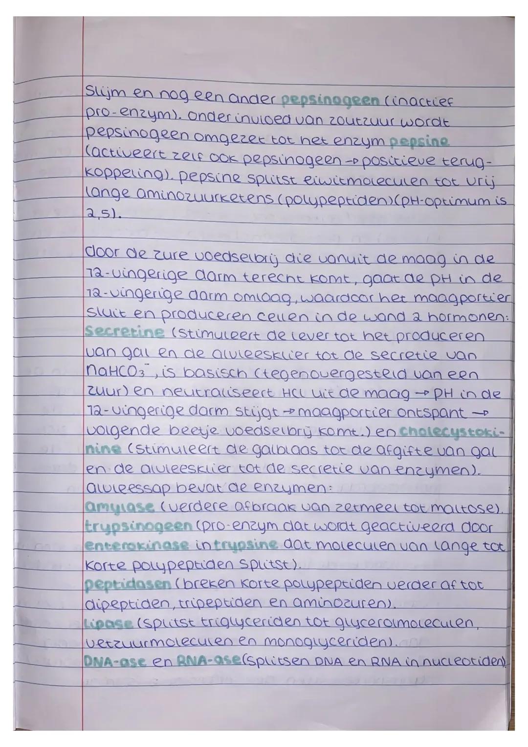 ## Wertering thema 1
### voedingsstoffen
alles wat je eet of arinkt, zijn voedingsmiddelen,
deze bevatten voedingsstoffen. 6 groepen:
- ei