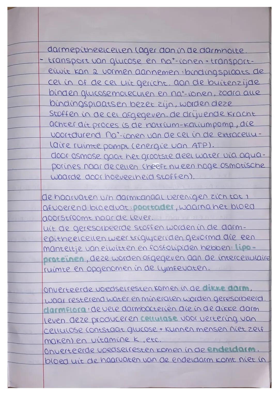 ## Wertering thema 1
### voedingsstoffen
alles wat je eet of arinkt, zijn voedingsmiddelen,
deze bevatten voedingsstoffen. 6 groepen:
- ei