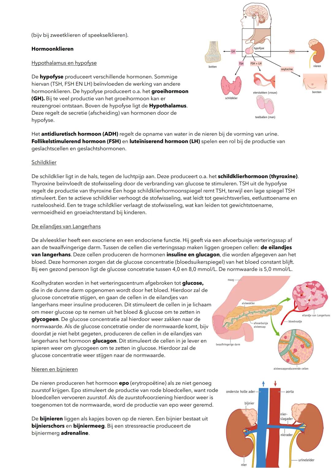 hormoon
-cel in een hormoonklier
receptor
doelwitcel
H5 Regeling
5.1 homeostase en regelkringen
Homeostase
bloed
receptor
willekeurige cel
J