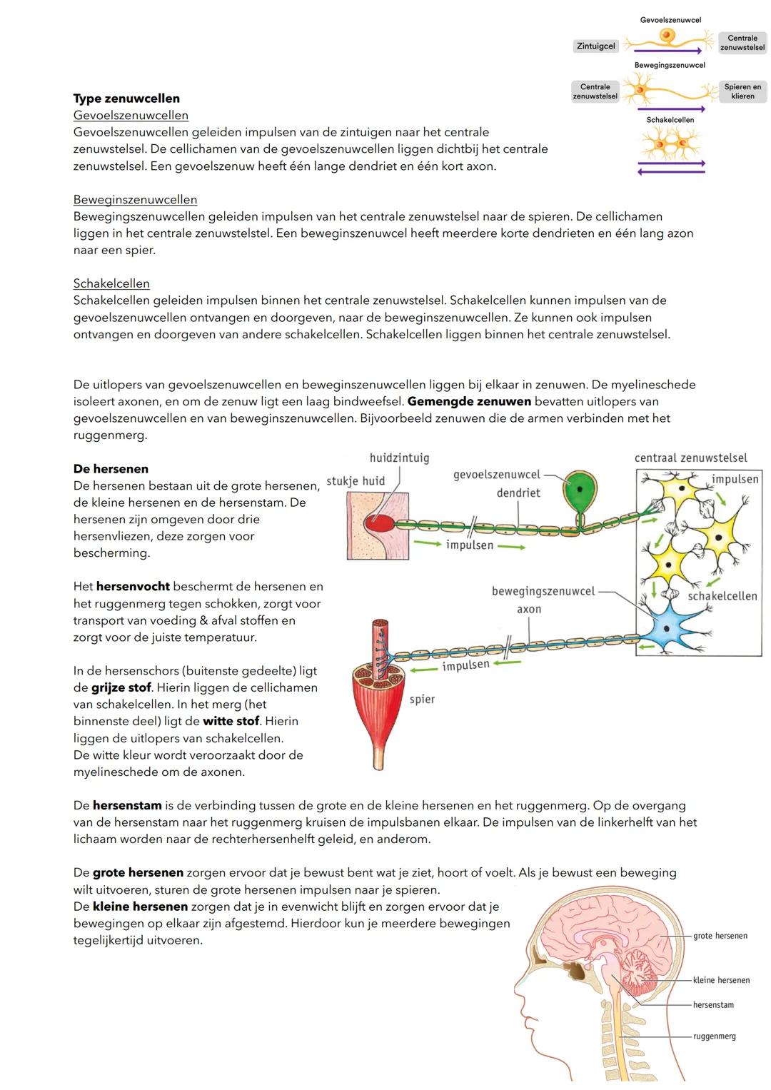 hormoon
-cel in een hormoonklier
receptor
doelwitcel
H5 Regeling
5.1 homeostase en regelkringen
Homeostase
bloed
receptor
willekeurige cel
J