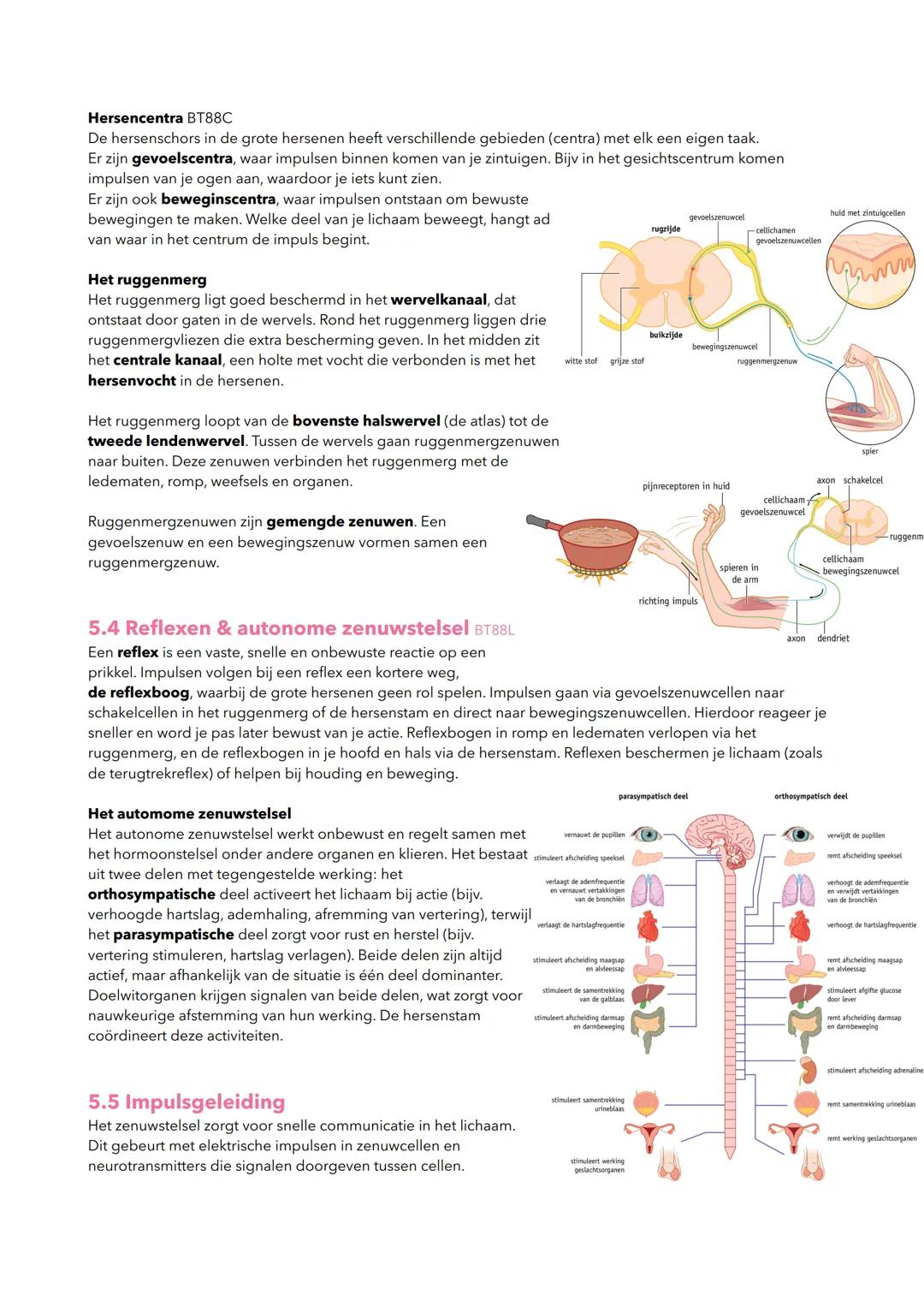 hormoon
-cel in een hormoonklier
receptor
doelwitcel
H5 Regeling
5.1 homeostase en regelkringen
Homeostase
bloed
receptor
willekeurige cel
J