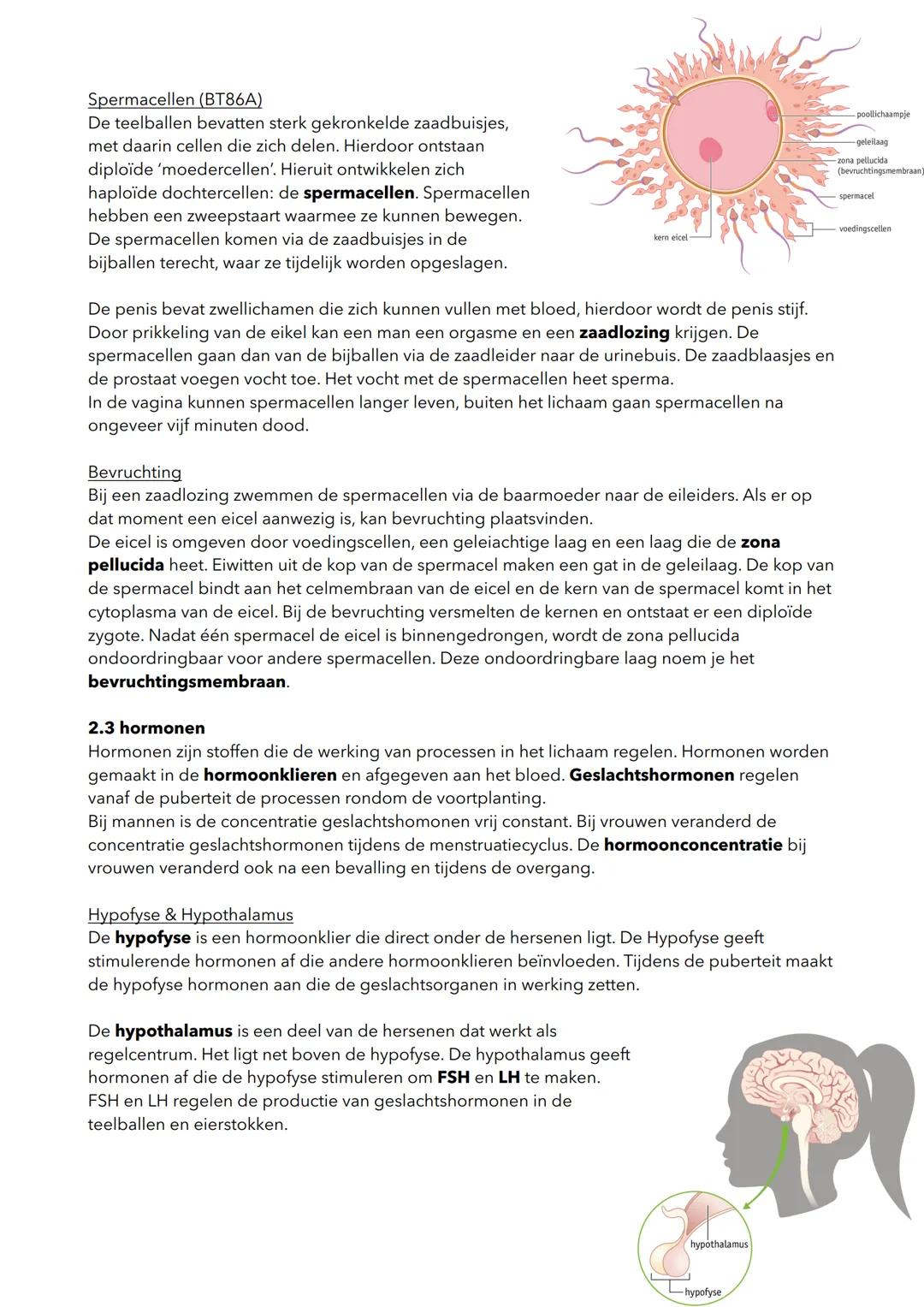 H2 Voortplanting
2.1 Ongeslachtelijke voorplanting
Natuurlijke ongeslachtelijke voortplanting
Cellen kunnen zich voortplanten door celdeling