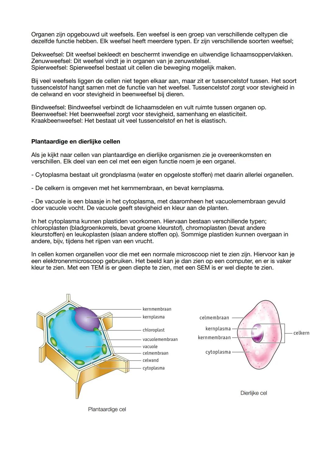 Biologie samenvatting
Biologie is overal
In de biologie bestudeer je organismen. Dit zijn levende wezens zoals
planten, dieren, schimmels en