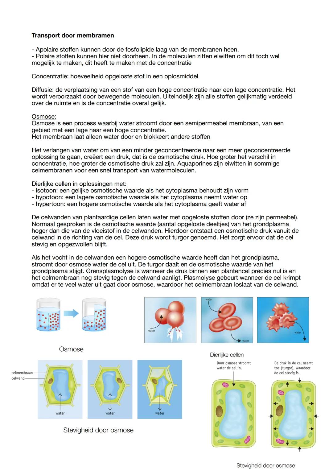 Biologie samenvatting
Biologie is overal
In de biologie bestudeer je organismen. Dit zijn levende wezens zoals
planten, dieren, schimmels en