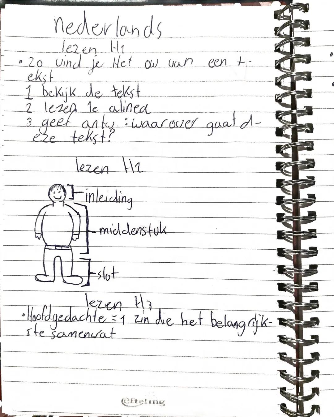 biologie h 11
Paragraaf 2
•bloemen maken nectar - bijen maken er honing van,
stuifmeel
bestuiving
• stuifmeel komt op bloem andere
soort