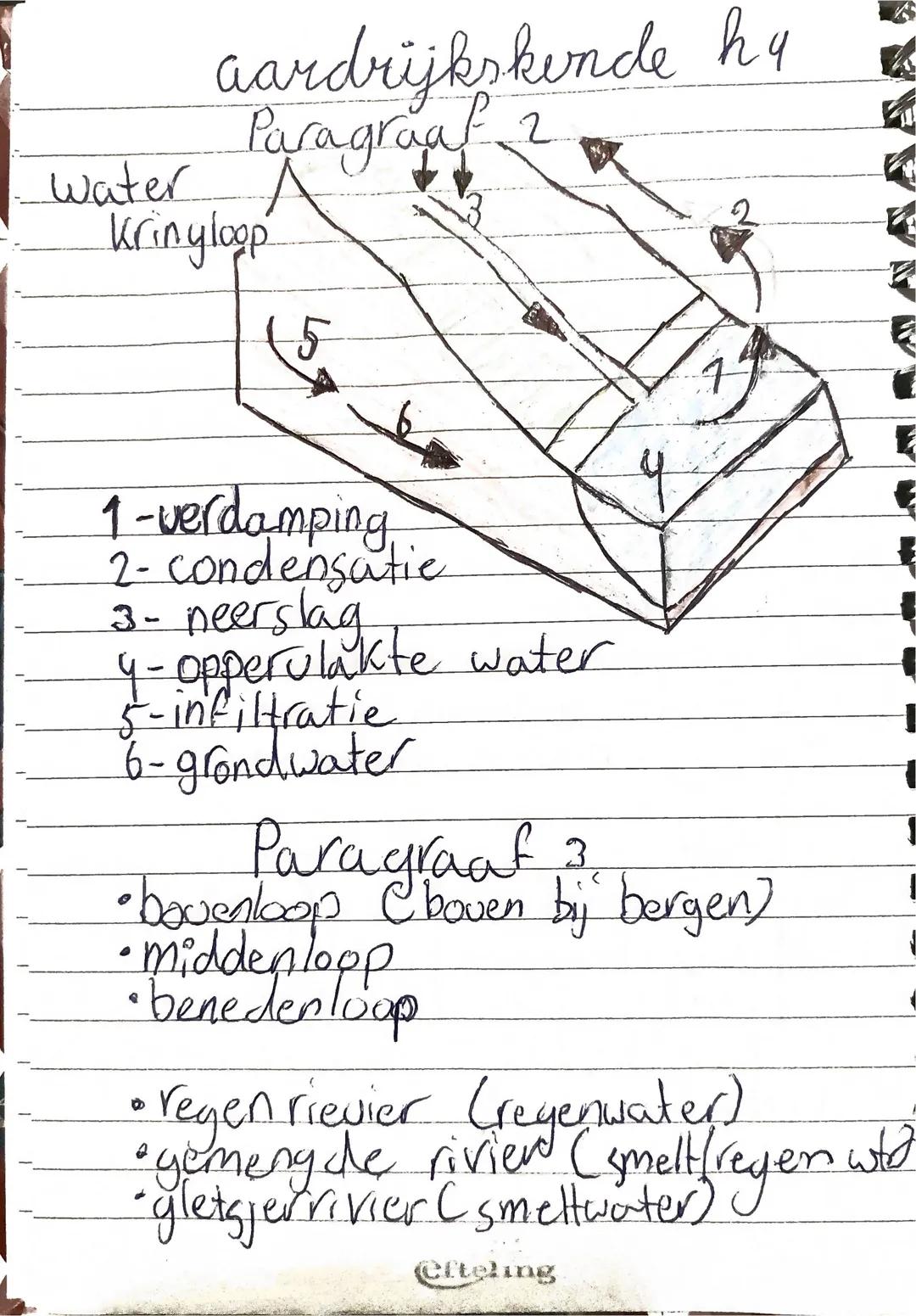 biologie h 11
Paragraaf 2
•bloemen maken nectar - bijen maken er honing van,
stuifmeel
bestuiving
• stuifmeel komt op bloem andere
soort