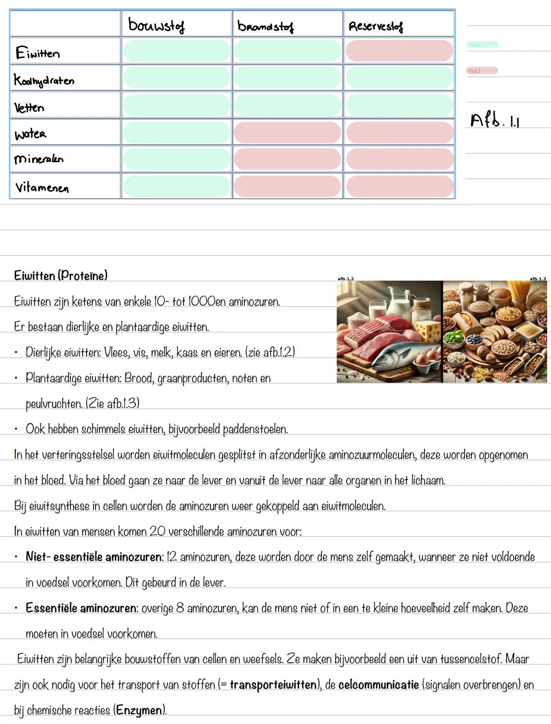 BS 1: voedingsstoffen
Voeding
Voedingsmiddelen bevatten voedingsstoffen.
6 groepen voedingsstoffen:
- Eiwitten (proteïne)
- Koolhydraten (sa