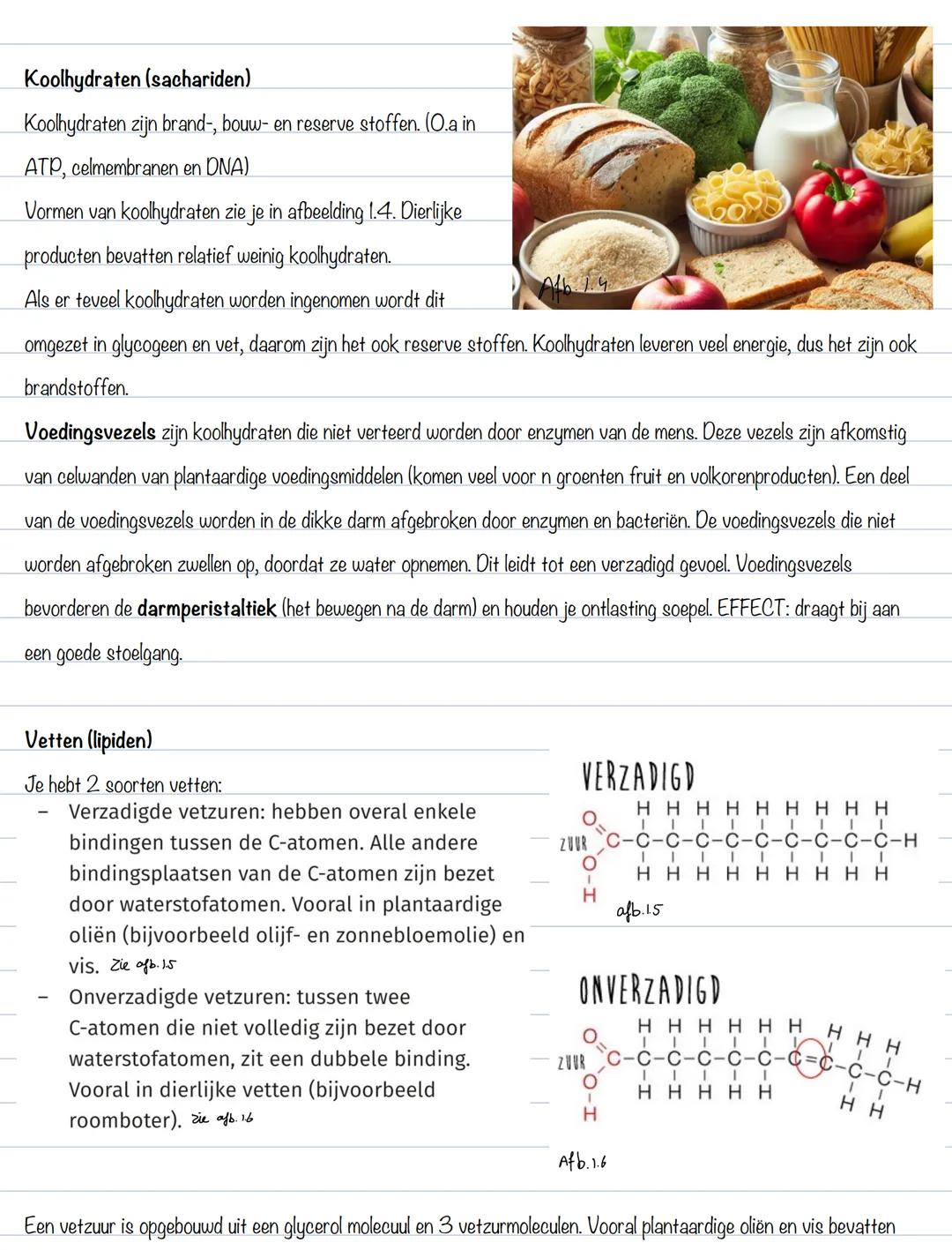 BS 1: voedingsstoffen
Voeding
Voedingsmiddelen bevatten voedingsstoffen.
6 groepen voedingsstoffen:
- Eiwitten (proteïne)
- Koolhydraten (sa