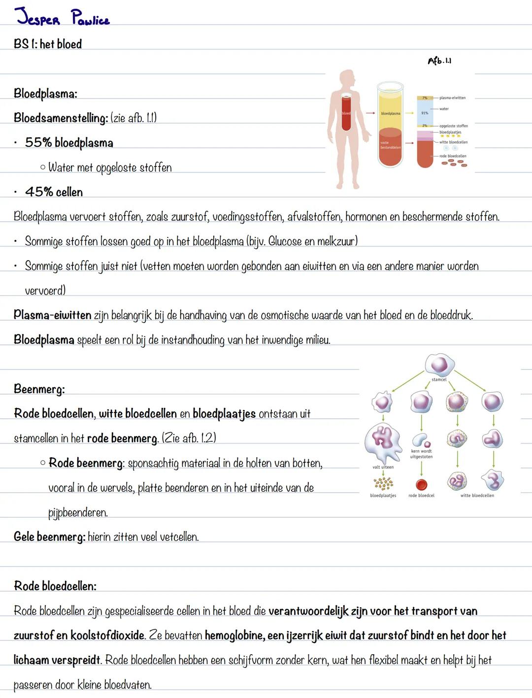 Jesper Pawlice
BS 1: het bloed
Afb.1.1
Bloedplasma:
Bloedsamenstelling: (zie afb. 1.1)
- 55% bloedplasma
- Water met opgeloste stoffen
- 4