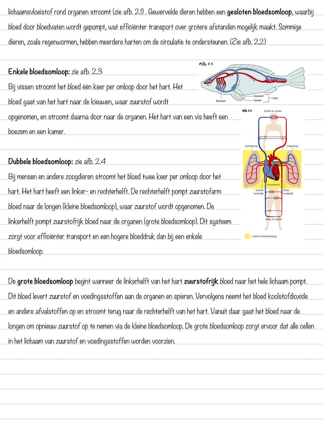 Jesper Pawlice
BS 1: het bloed
Afb.1.1
Bloedplasma:
Bloedsamenstelling: (zie afb. 1.1)
- 55% bloedplasma
- Water met opgeloste stoffen
- 4