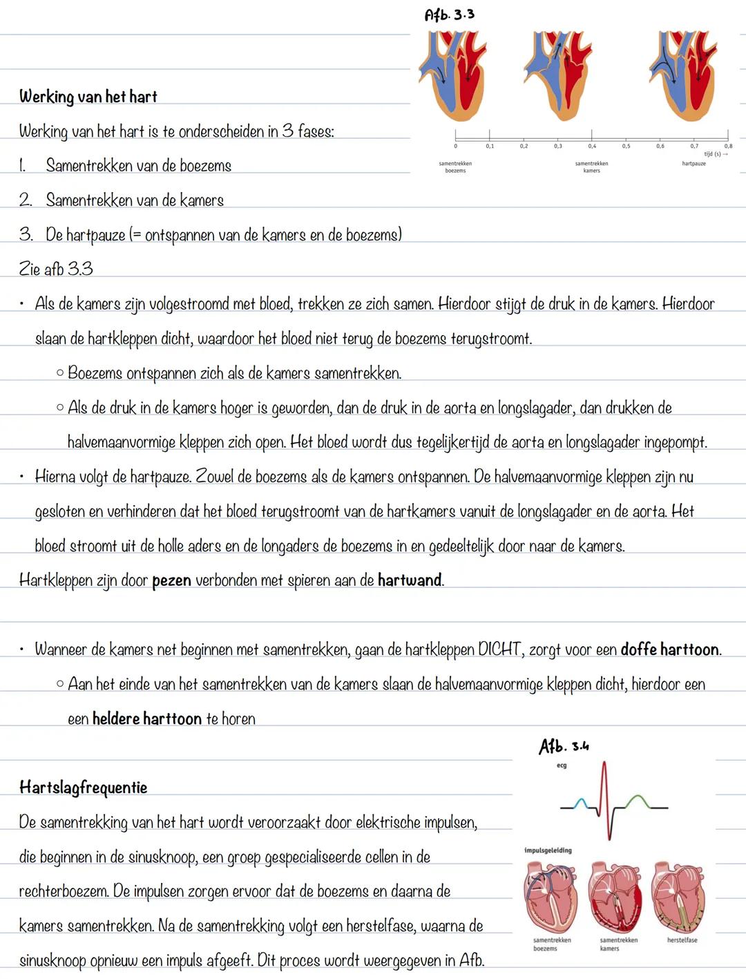 Jesper Pawlice
BS 1: het bloed
Afb.1.1
Bloedplasma:
Bloedsamenstelling: (zie afb. 1.1)
- 55% bloedplasma
- Water met opgeloste stoffen
- 4