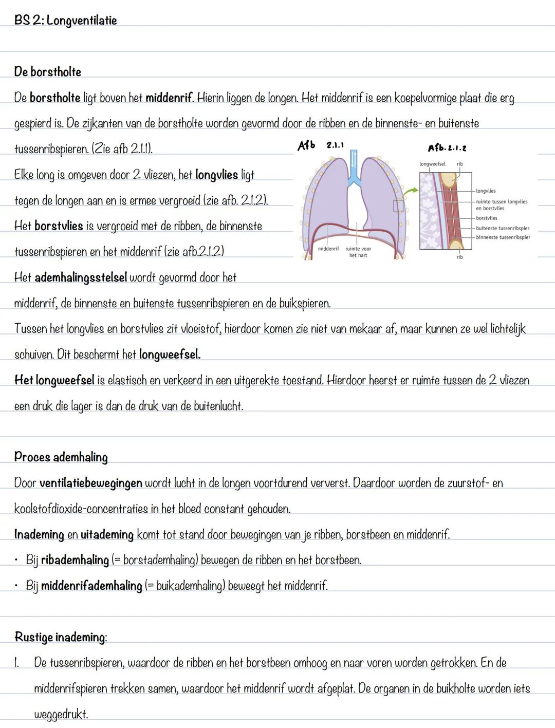 BS 1: gaswisseling
Uitscheiding
Het afvoeren van afvalstoffen heet uitscheiding. Organen die voor uitscheiding zorgen zijn de longen, de hui