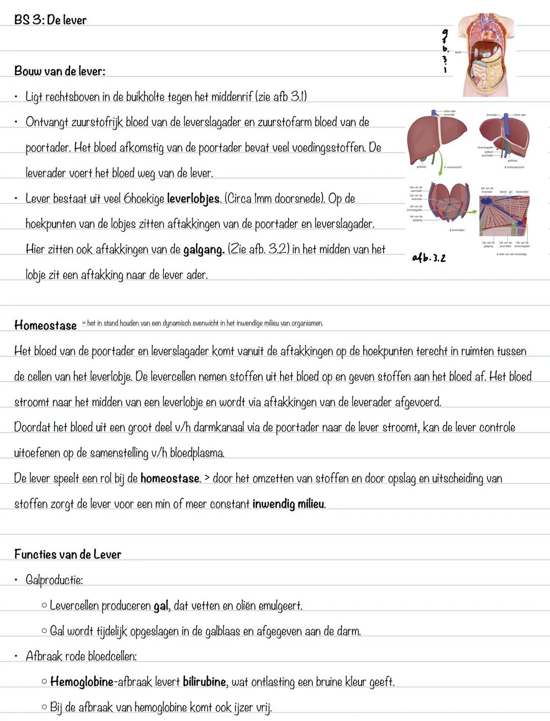 BS 1: gaswisseling
Uitscheiding
Het afvoeren van afvalstoffen heet uitscheiding. Organen die voor uitscheiding zorgen zijn de longen, de hui