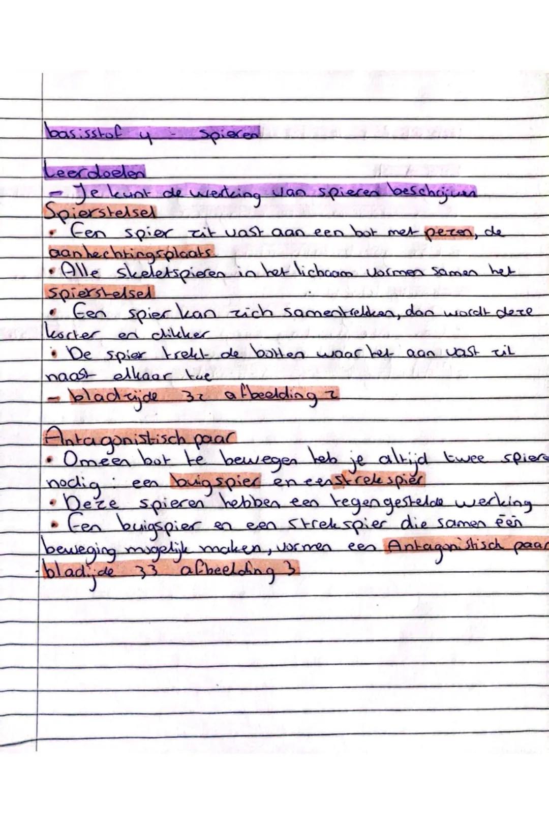 basisstof 4 - Spieren
Leerdoelen
- Je kunt de werking van spieren beschrijven
Spierstelsel
- Een spier zit vast aan een bot met pezen, de