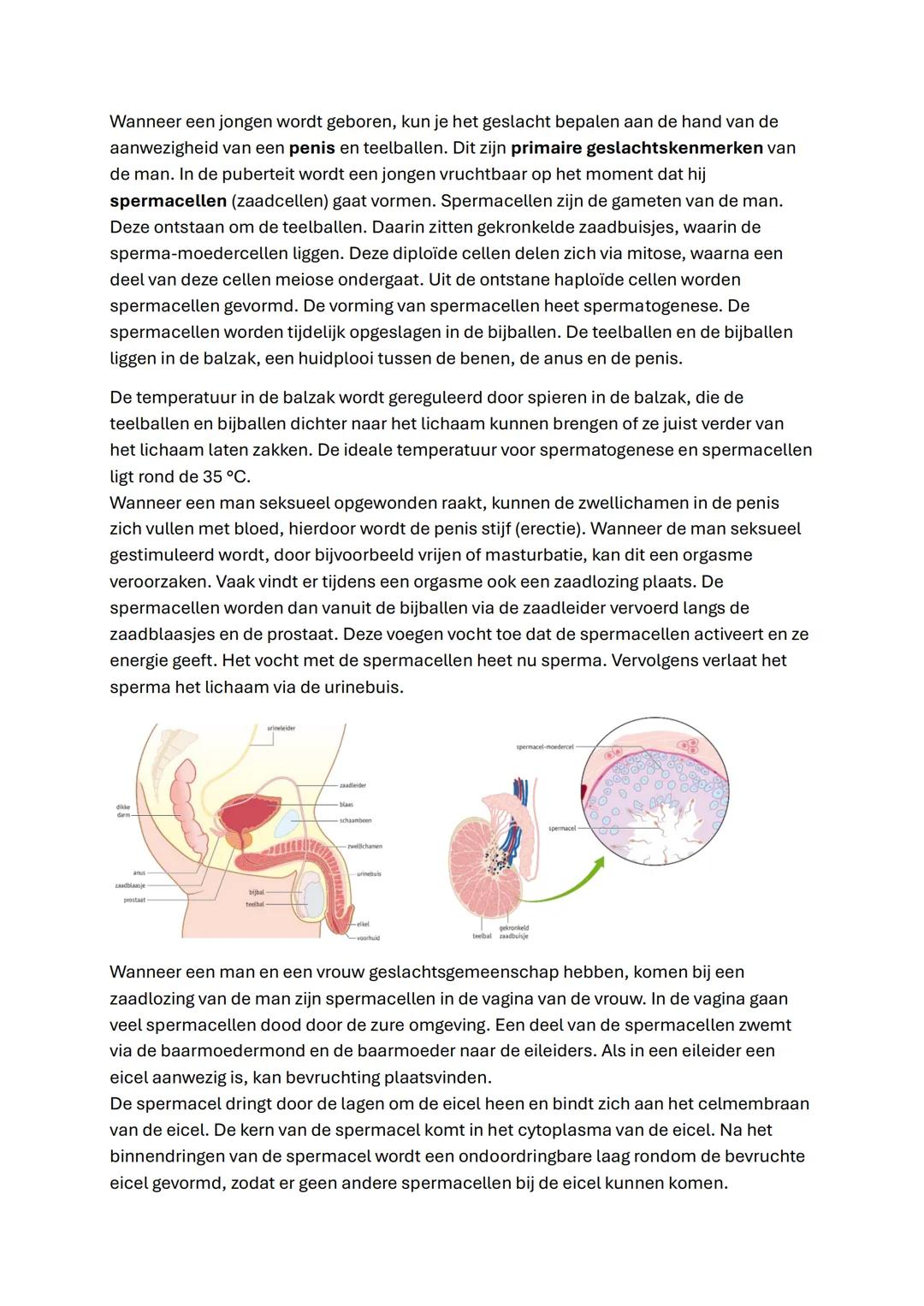 2.1 Ongeslachtelijke voortplanting
Bij ongeslachtelijke voortplanting ontstaan nakomelingen uit één ouder, hierbij zijn de
nakomeling geneti