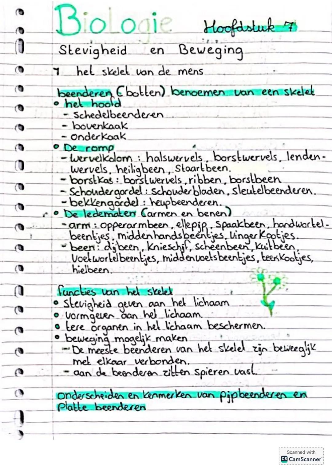## Biologie Hoofstuk 7
Stevigheid en Beweging
7 het skelet van de mens
beenderen (botten) benoemen van een skelet
- het hoofd
- Schedelbe