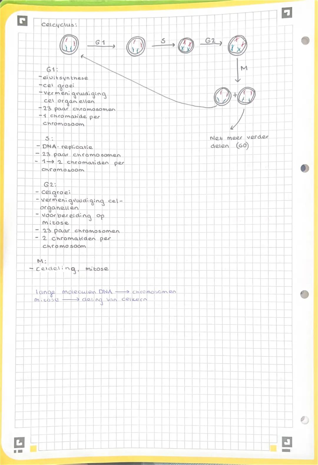 Door celdeling ontstaan nakomelingen met dezelfde
als de ouder →ongeslachtelijke voortplanting
arfelijke eigenschappen
voortplantingscellen