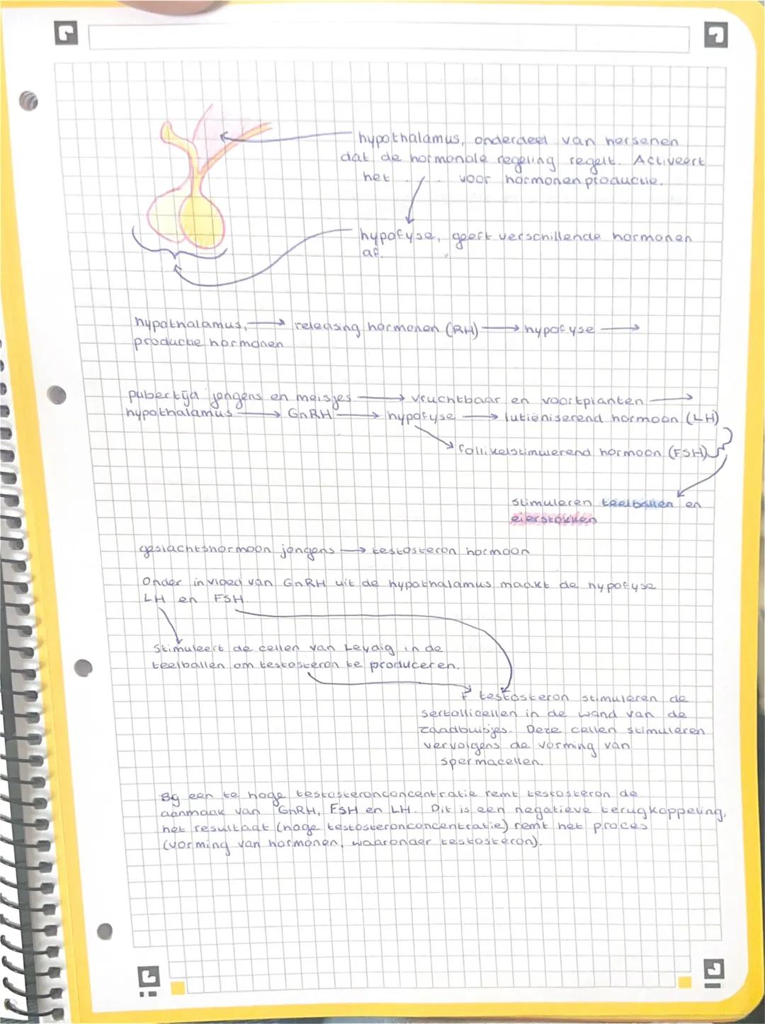 Door celdeling ontstaan nakomelingen met dezelfde
als de ouder →ongeslachtelijke voortplanting
arfelijke eigenschappen
voortplantingscellen