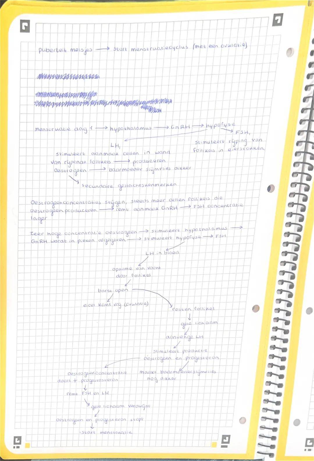 Door celdeling ontstaan nakomelingen met dezelfde
als de ouder →ongeslachtelijke voortplanting
arfelijke eigenschappen
voortplantingscellen