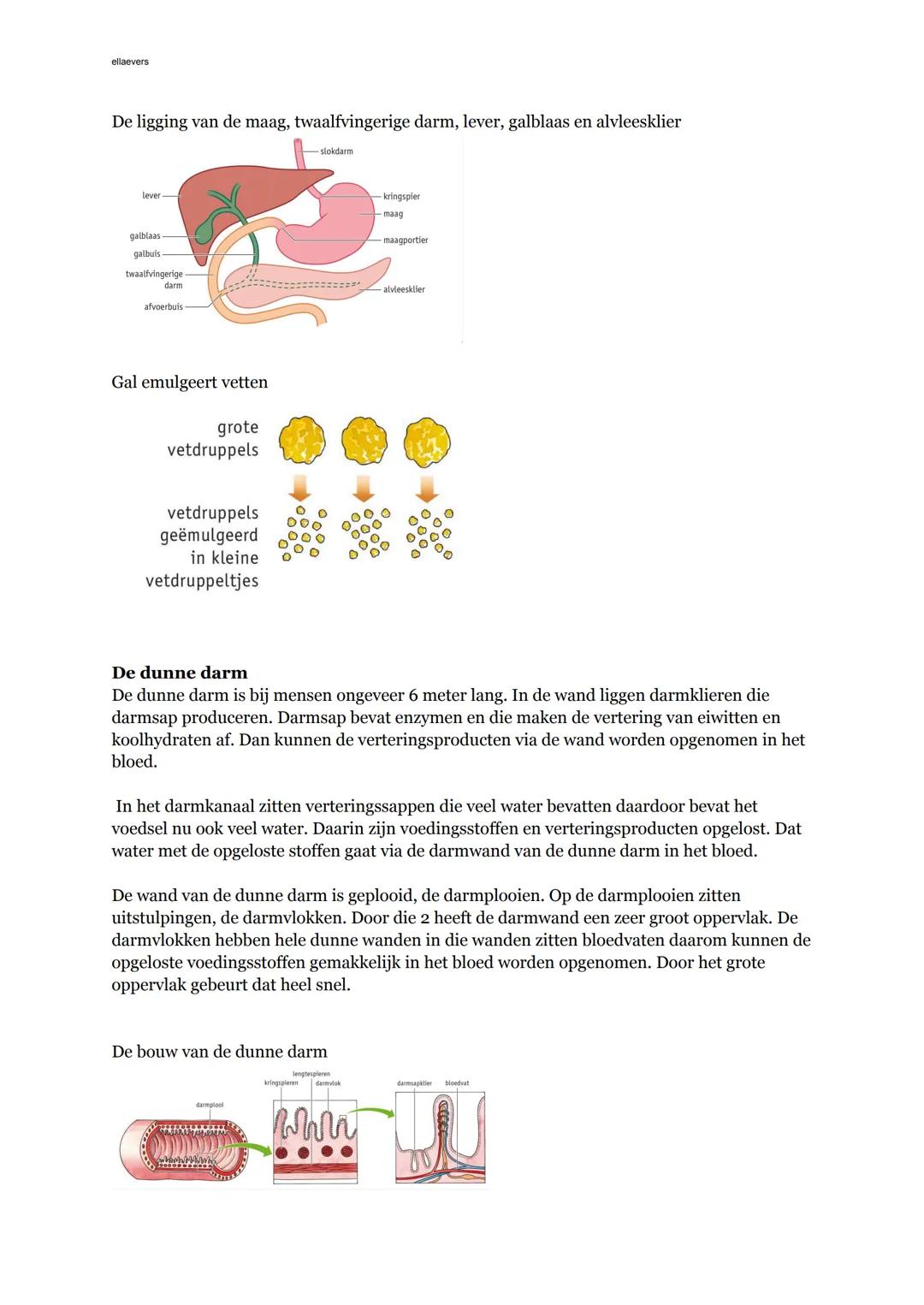 ## Hoofdstuk 2
Biologie voor jou
## Basisstof 1: voedingsmiddelen en voedingsstoffen
**Plantaardig of dierlijk**
Alles wat je eet of drin