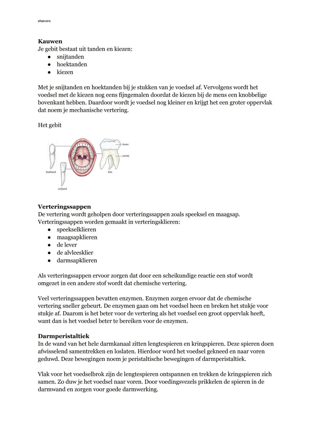 ## Hoofdstuk 2
Biologie voor jou
## Basisstof 1: voedingsmiddelen en voedingsstoffen
**Plantaardig of dierlijk**
Alles wat je eet of drin