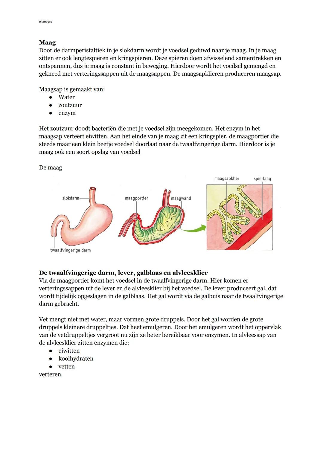 ## Hoofdstuk 2
Biologie voor jou
## Basisstof 1: voedingsmiddelen en voedingsstoffen
**Plantaardig of dierlijk**
Alles wat je eet of drin