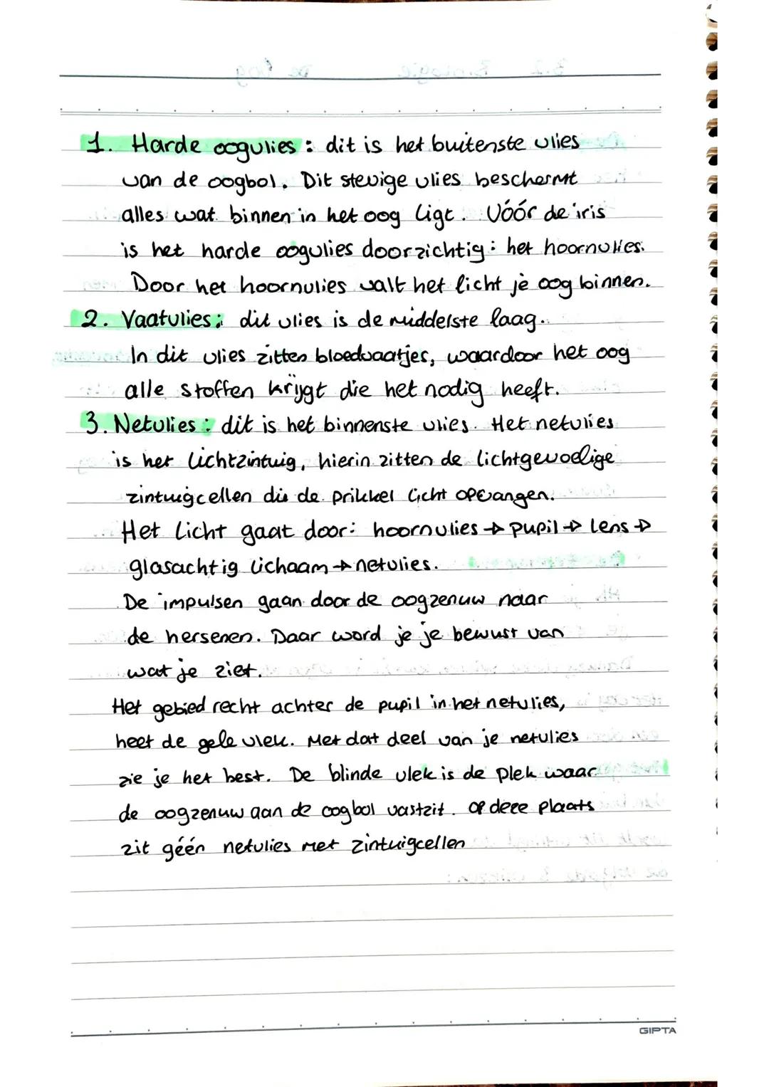 3.2
Biologie
De Oog
• De iris is het gekleurde deel van het oog.
• Het zwarte rondje in de iris heet pupil.
↳ Het licht dat je oog binnenval