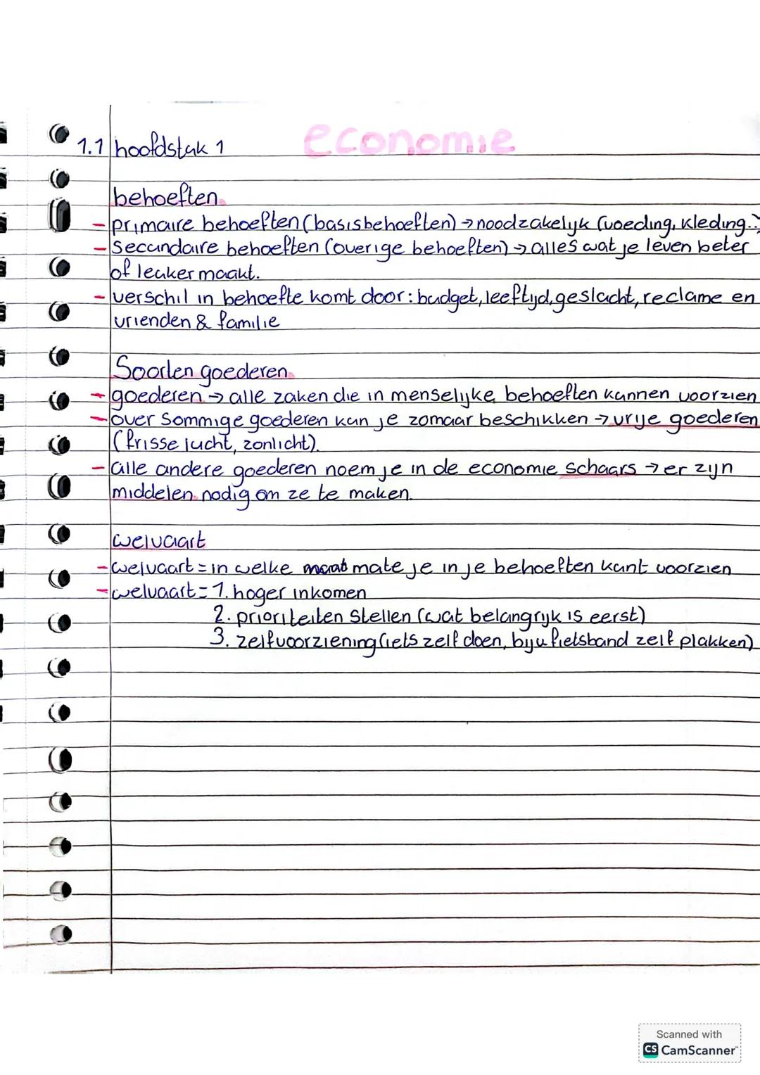 Economie mavo 3 hoofdstuk 1