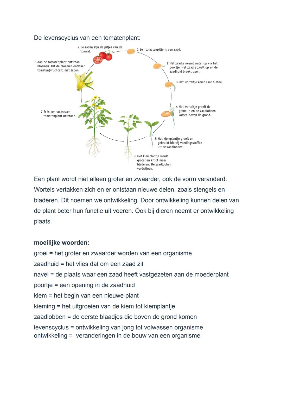 BIOLOGIE HOOFDSTUK 1 SAMENVATTING
basisstof 1.1
Een organisme is een levend wezen. Mensen, planten dieren en dingen zijn
organismen. Bacteri
