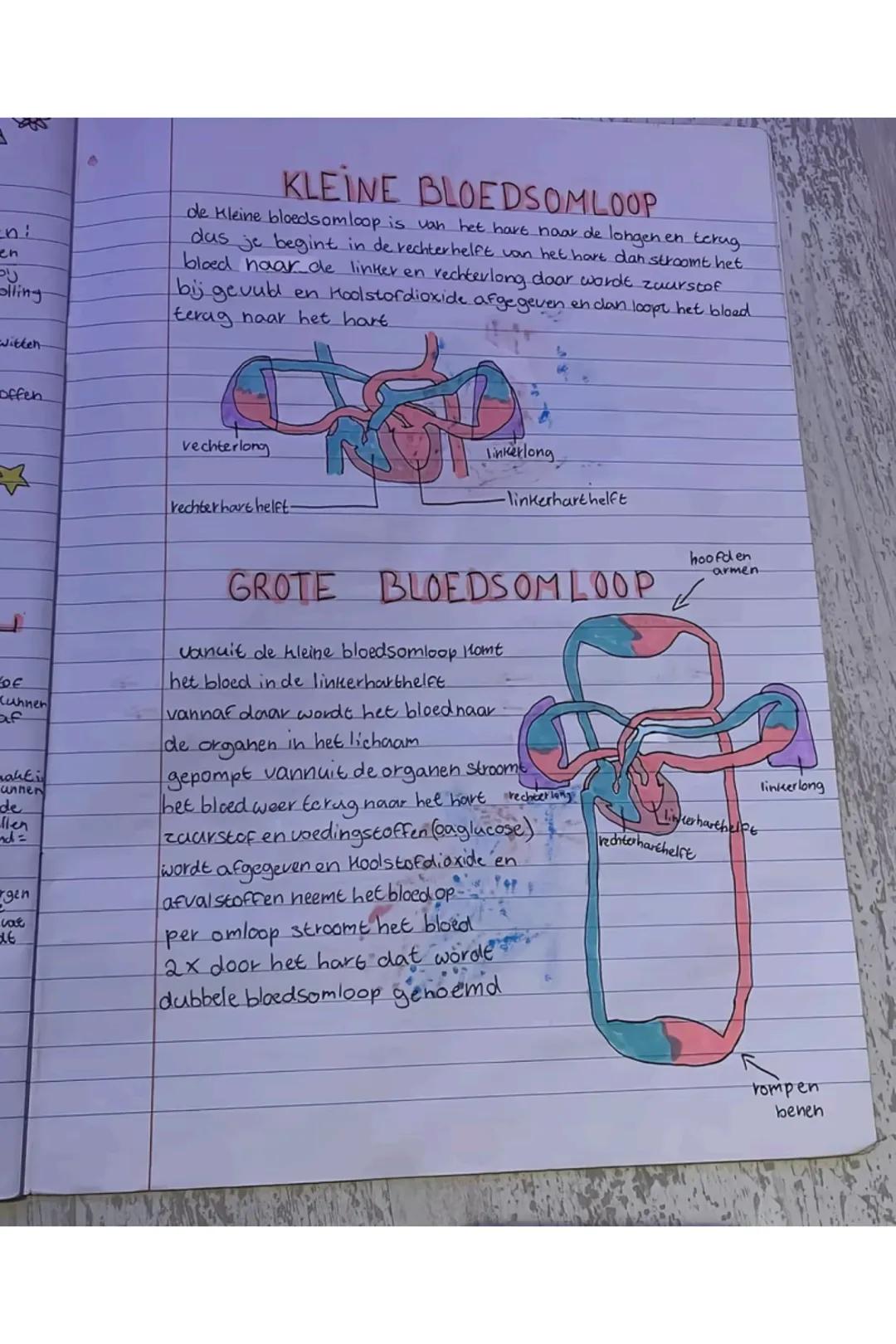 ~H3
BIOLOGIE
§1
een volwassen mens heeft 5 à 6 liter bloed.
bloed bestaat voor 55% uit bloed plasma.
<
Fibrinogeen:
Functie bij
de bloedsto