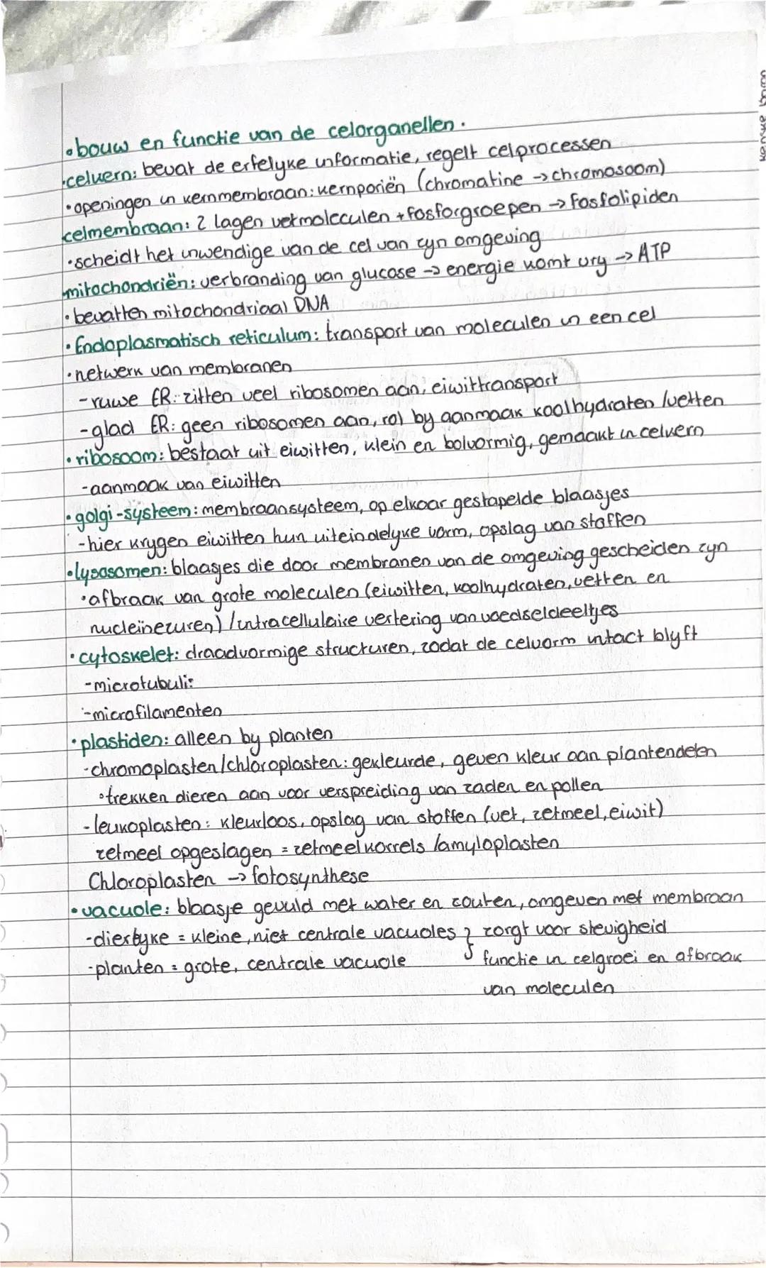 biologie
2. Cellen: bouw en functie
begrippen
§1 celtheorie: alle organismen zyn opgebouwd uit een of meerdere cellen
•eencellig: bacteriën