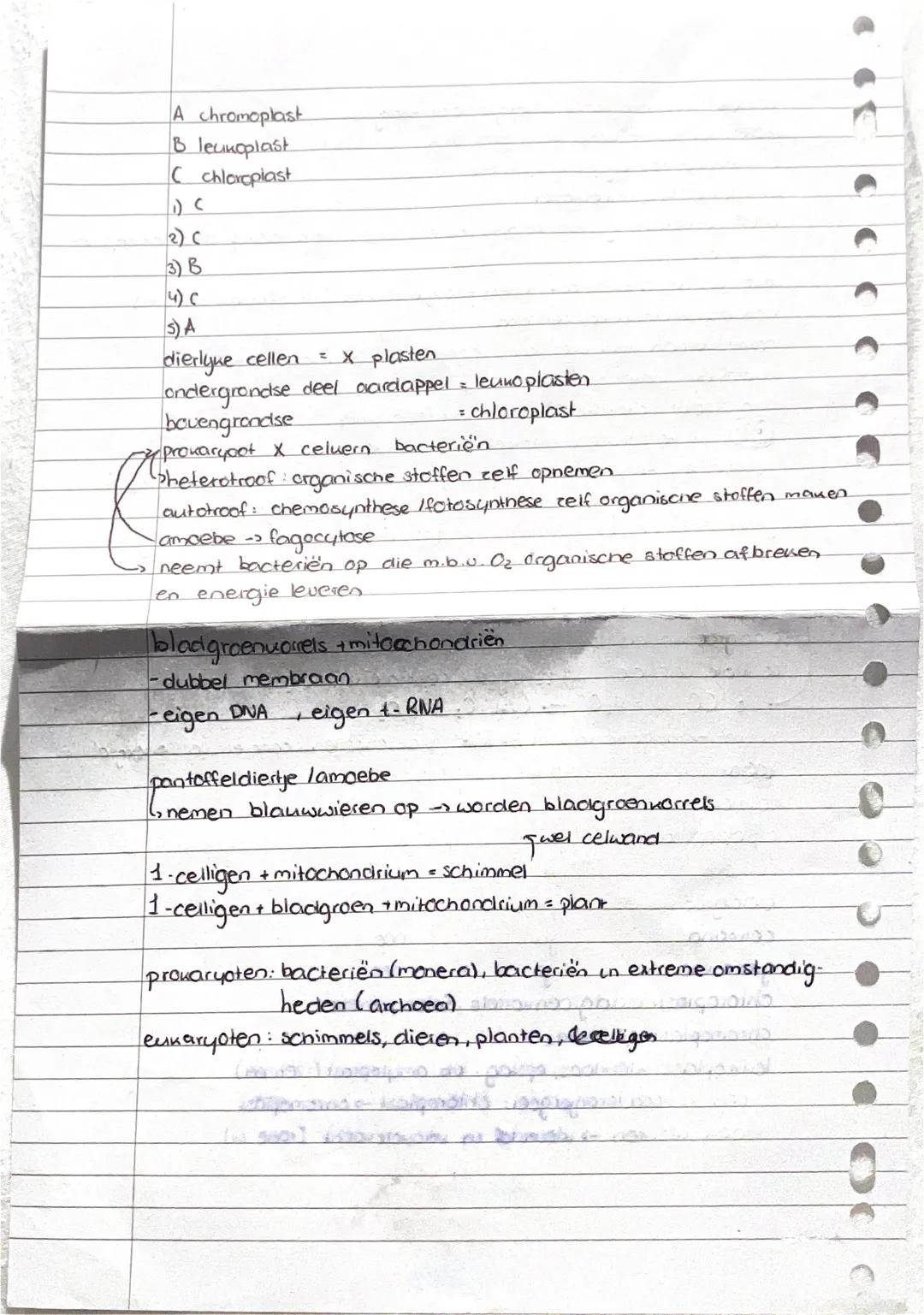 actief transport: waar energie voor noodig is
adenine: stikstofbase, bouwstof DNA
aminozuren: rol bij eiwitsynthese
amyloplast: zetmeelkorre