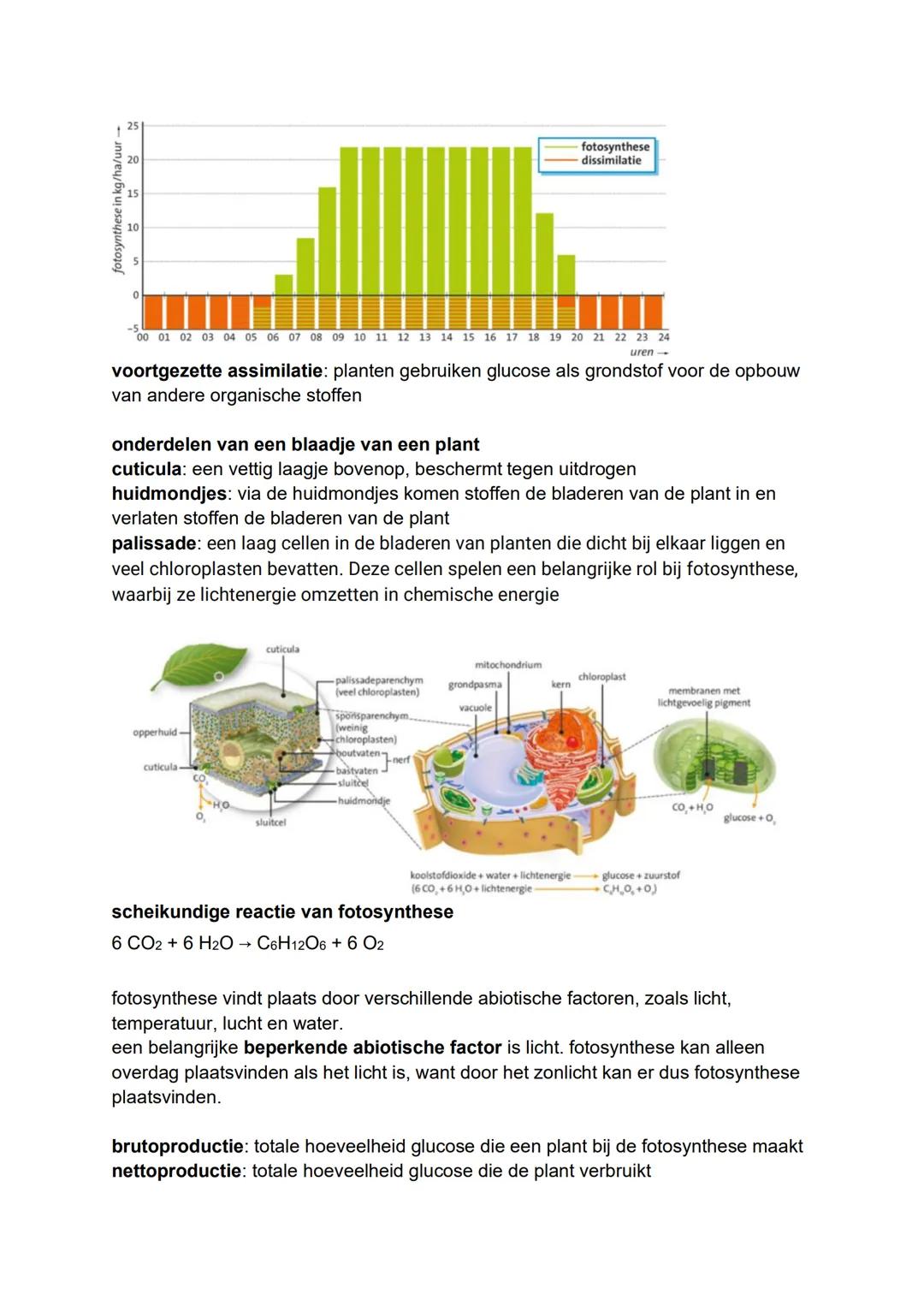 BIOLOGIE SAMENVATTING H5 EN H6
PARAGRAAF 5.1 EN 5.3
organische stof: een stof met de elementen C, H en O. meestal grote, energierijke
molecu