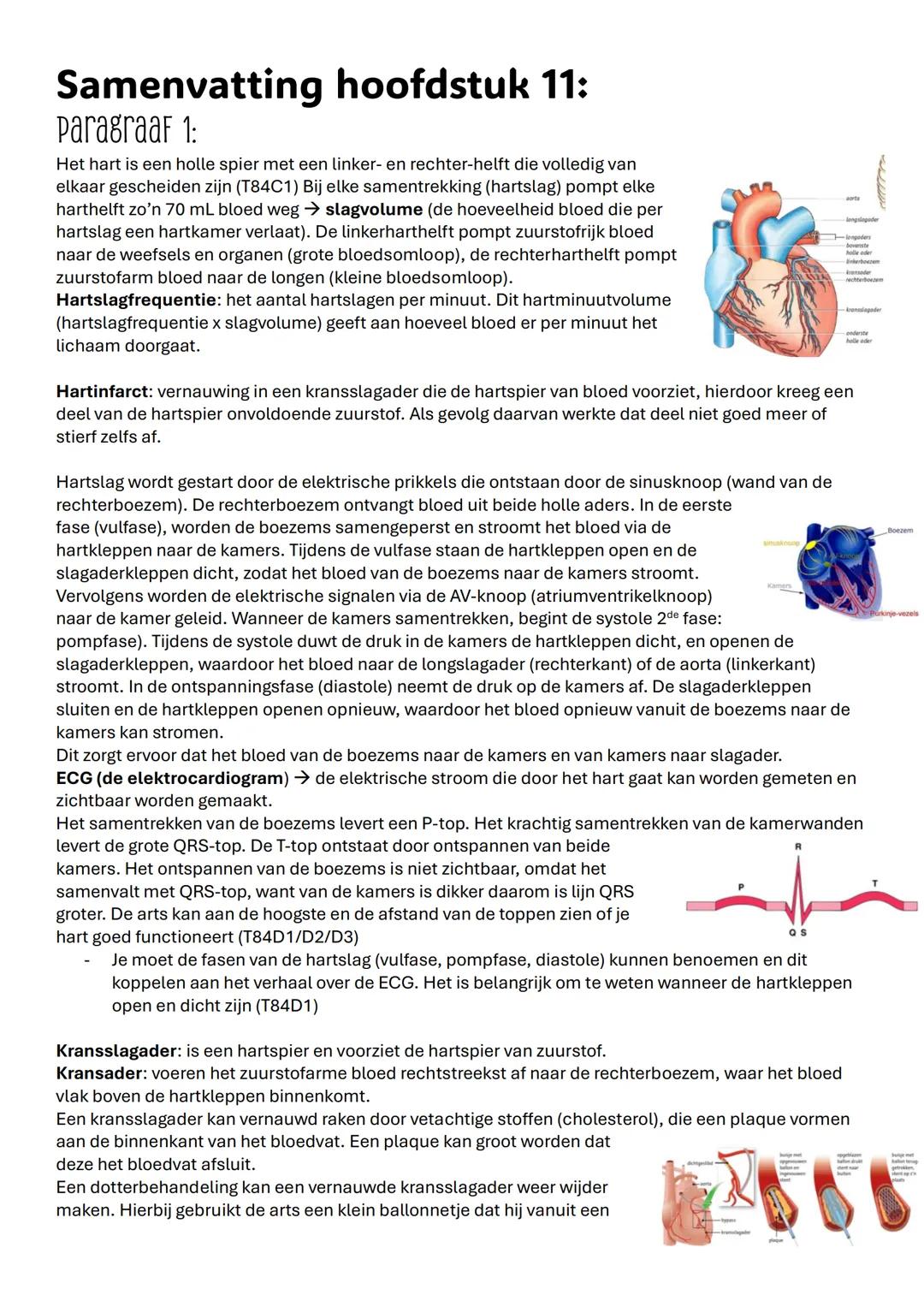 Samenvatting hoofdstuk 11:
Paragraaf 1:
Het hart is een holle spier met een linker- en rechter-helft die volledig van
elkaar gescheiden zijn