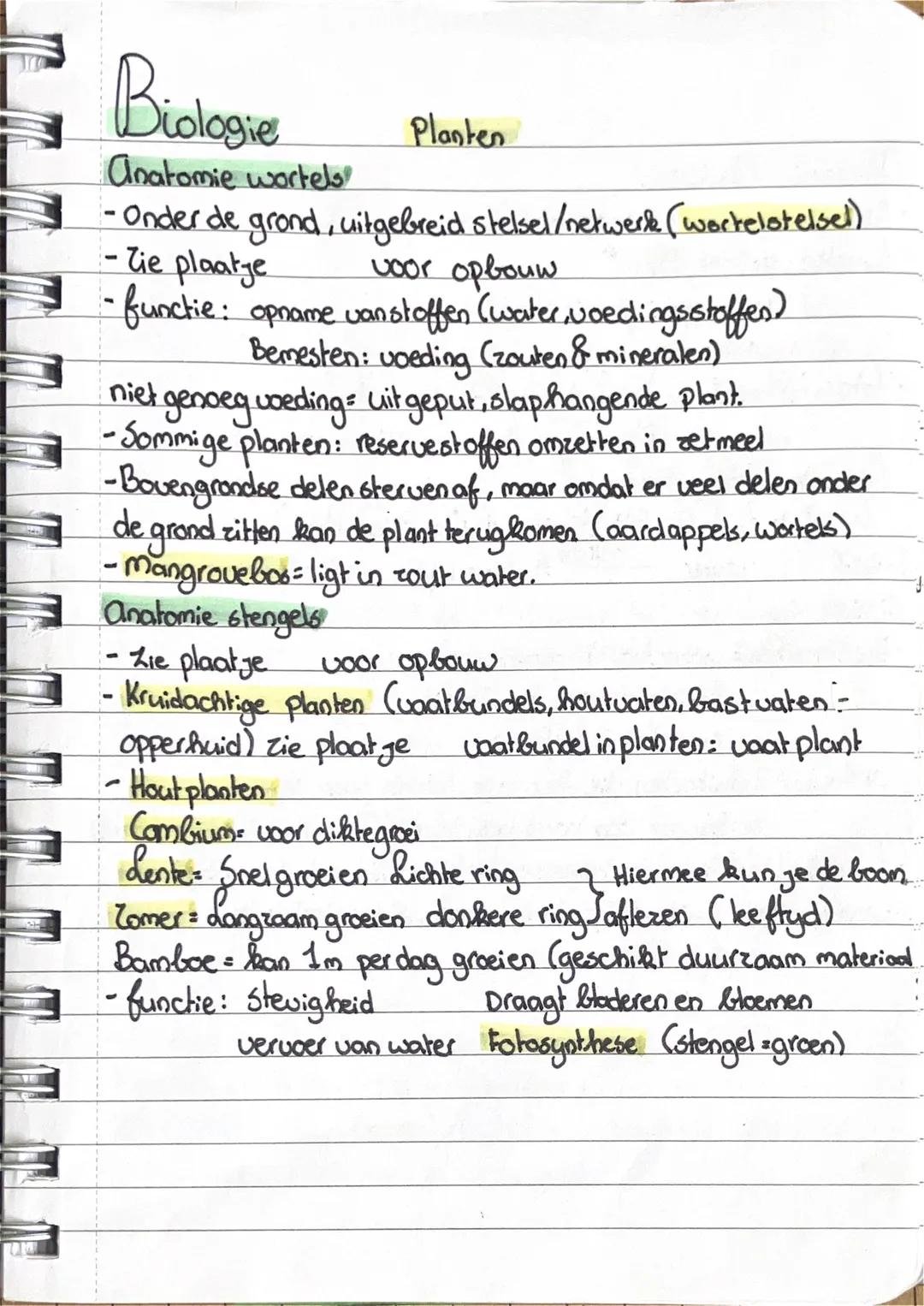 Biologie
Anatomie wortels
Planten
- Onder de grond, uitgebreid stelsel/netwerk (wortelstelsel)
Tie plaatje
voor opbouw
- functie: opnam