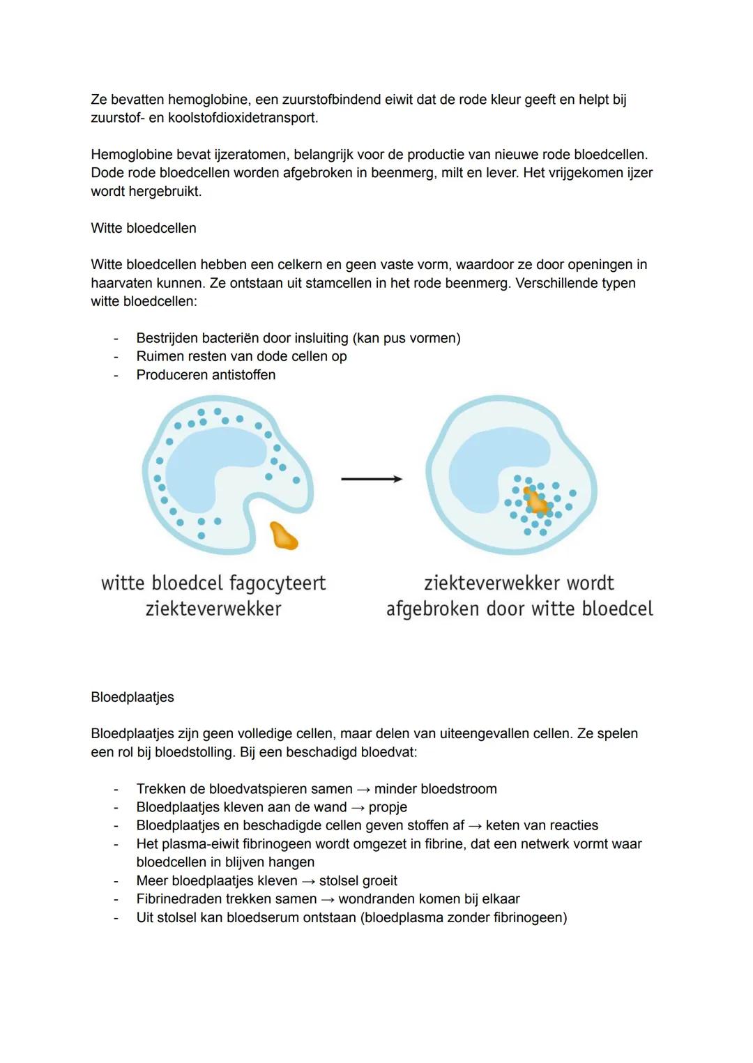 Tabblad 1 Thema 11 transport
11.1 Het bloed
Bloedplasma
Bloed bestaat gemiddeld voor 55% uit bloedplasma en 45% uit
cellen. Bloedplasma is