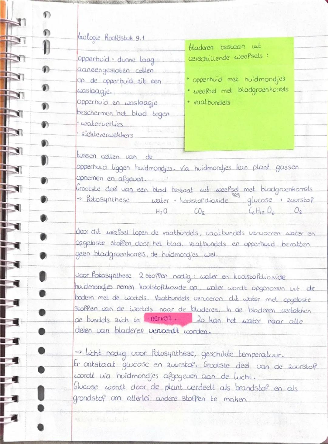 brologie hoofdstuk 9.1
opperhuid dunne laag
aaneengesloten cellen
Op de opperbuid zit een
waslaagje.
opperhuid en waslaagje
beschermen het