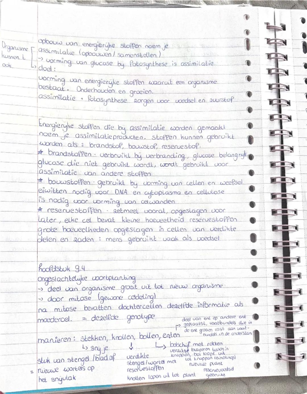 brologie hoofdstuk 9.1
opperhuid dunne laag
aaneengesloten cellen
Op de opperbuid zit een
waslaagje.
opperhuid en waslaagje
beschermen het