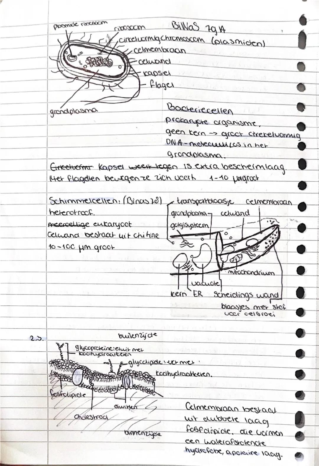 # 2. Cel en Leven
hoofdstuk 2 biologie vwo 4
## 2.1 Moleculen -> Kleinste deeltjes van een stof met nog nieuwe eigenschappen
om glucose op
