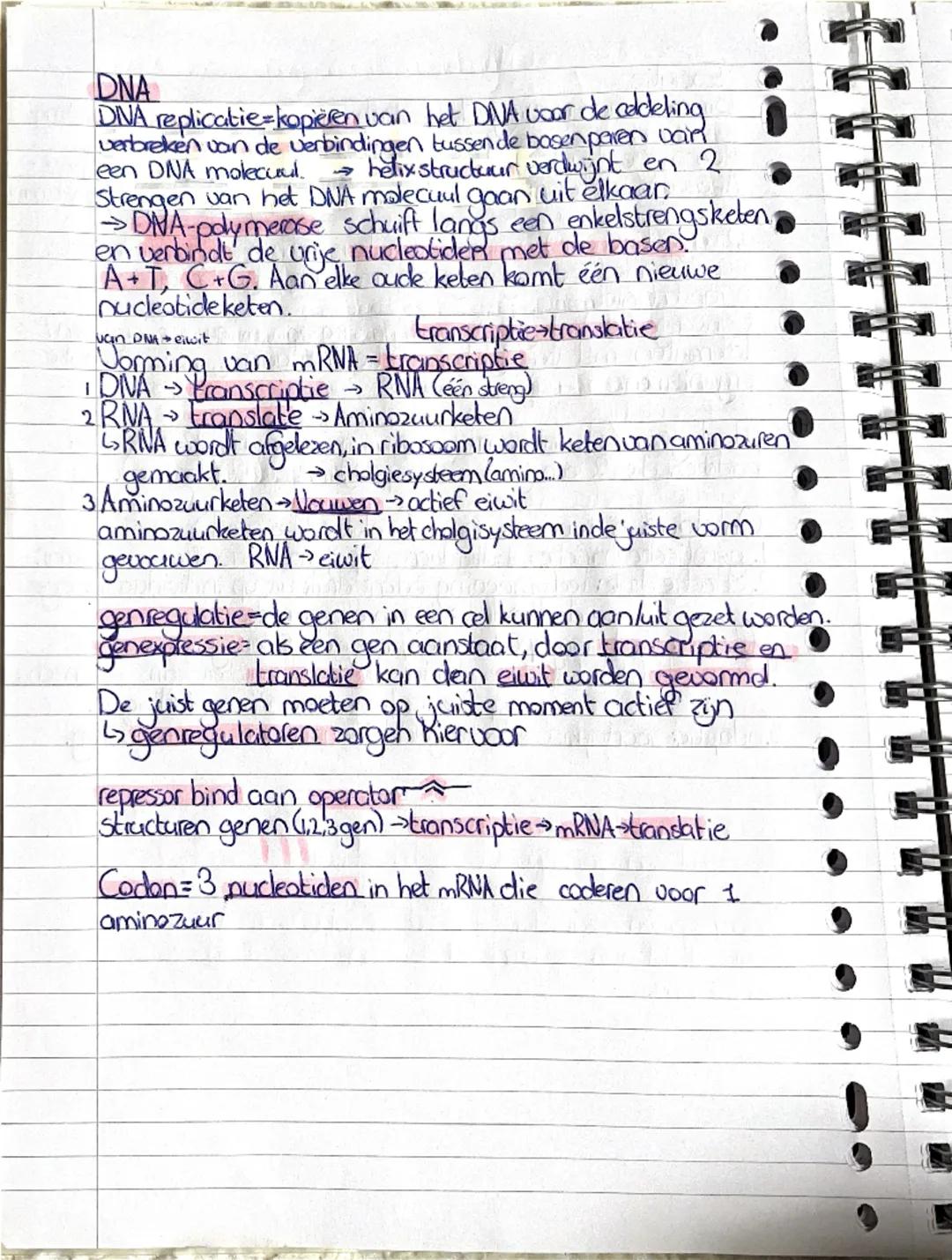 # DNA
DNA replicatie=kopieren van het DNA voor de coddeling
verbreken van de verbindingen tussen de bogen paren vain
een DNA molecuul. $\rig