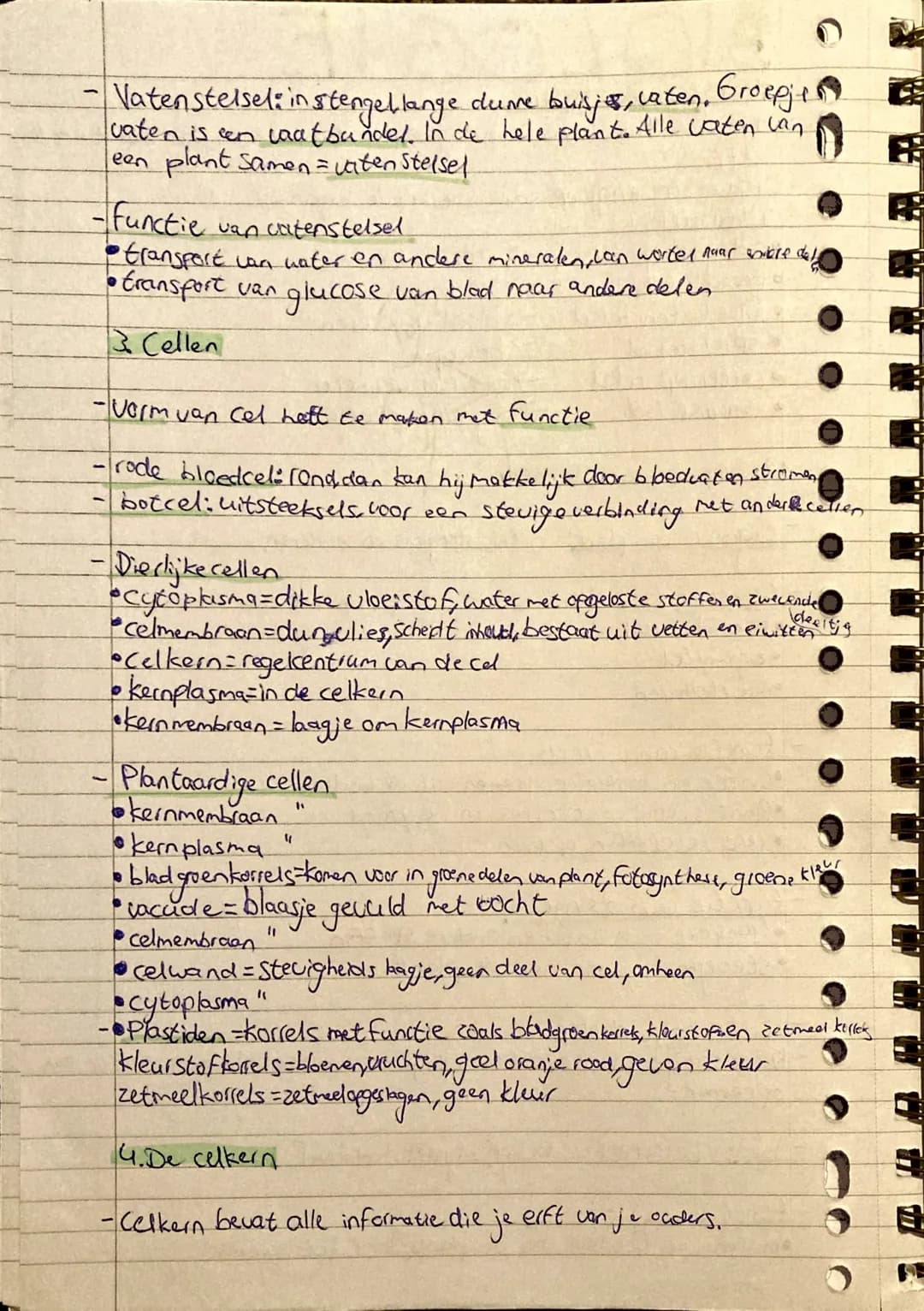 # BIOLOGIE
## 1. Organen van dieren
- Organen: een deel van een organisme dat een bepaalde taak heeft.
- Orgaanstelsel: groep samenwerkende