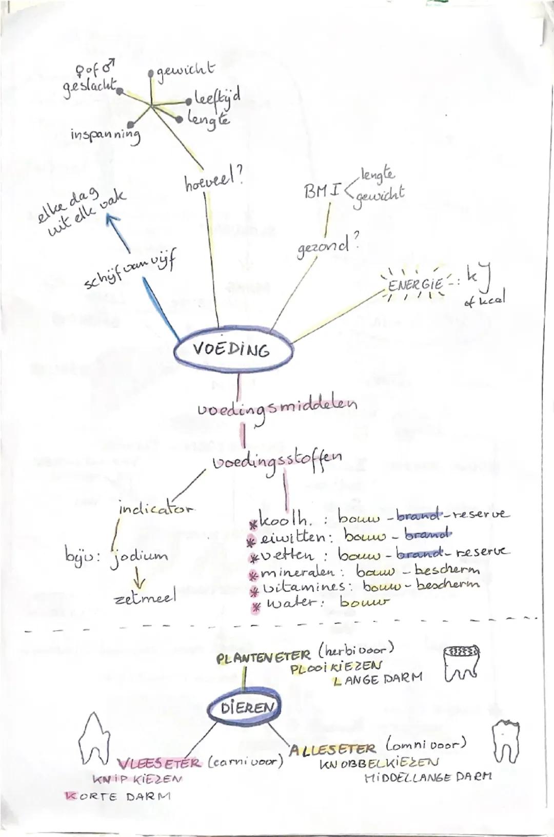 voedingsvezel ++
↓
peristaltick
darmkanaal.
VERTERING
VERTERING SSAPPEN
لا
ENZYMEN
G
*MOND SPEERSEL: Gokmee)
doodt bac.
MAAG: MAAGSAP: Giw