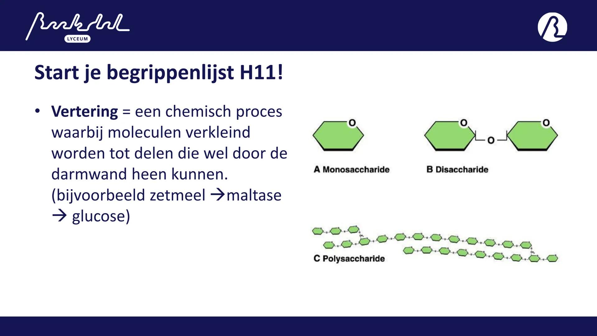 Bark
LYCEUM
11.1
Voeding
Toetsweek 1 (РТА 10%)
H10 Bloedsomloop
H11 Voeding en vertering Bak
LYCEUM
Vandaag 11.1
- 11.1 Voeding
- HW =
A: