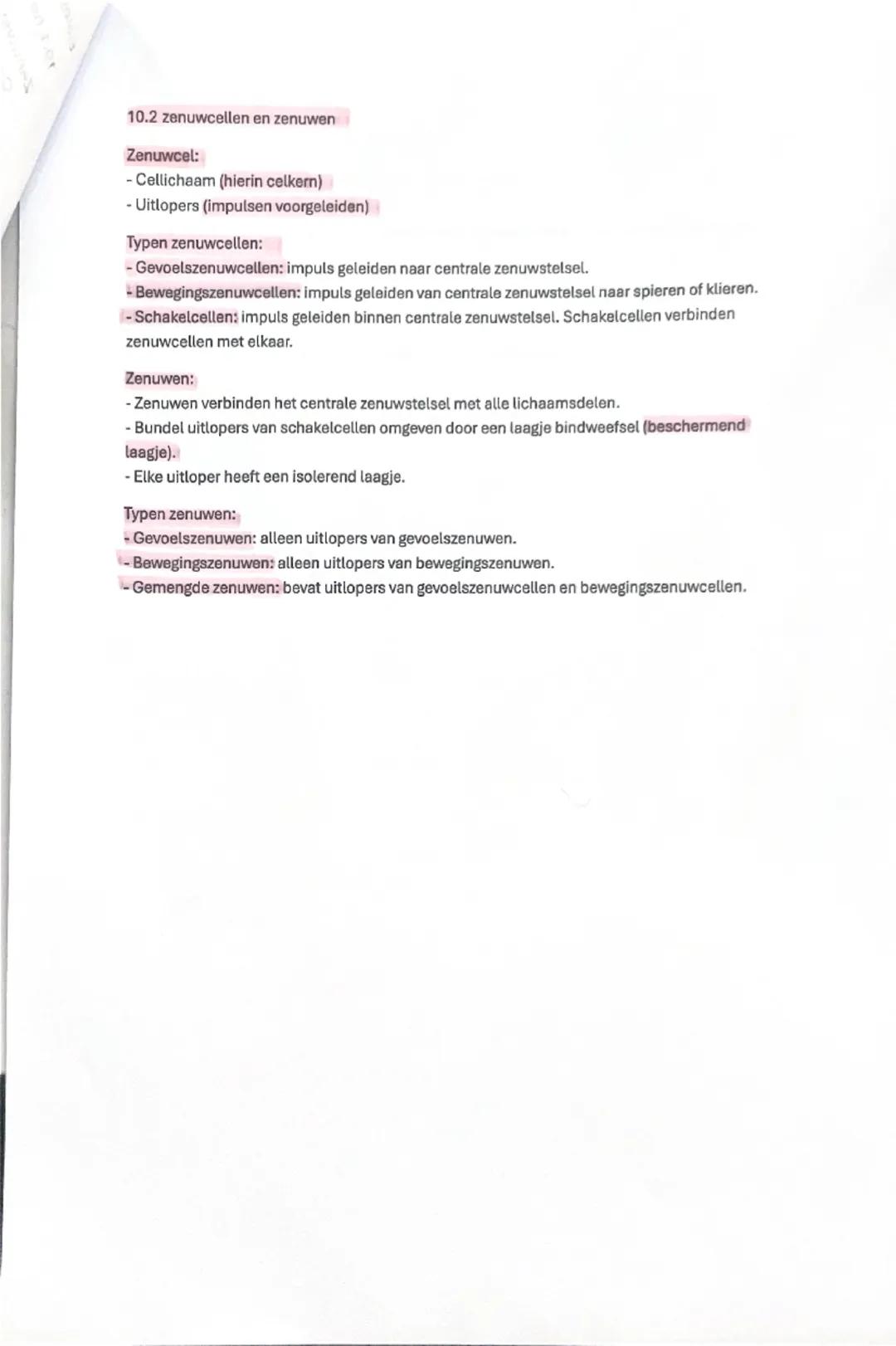 Biologie aantekeningen H10 Regeling
10.1 het zenuwstelsel
Zenuwstelsel:
- Centrale zenuwstelsel
- Zenuwen
Centrale zenuwstelsel:
- Grote her
