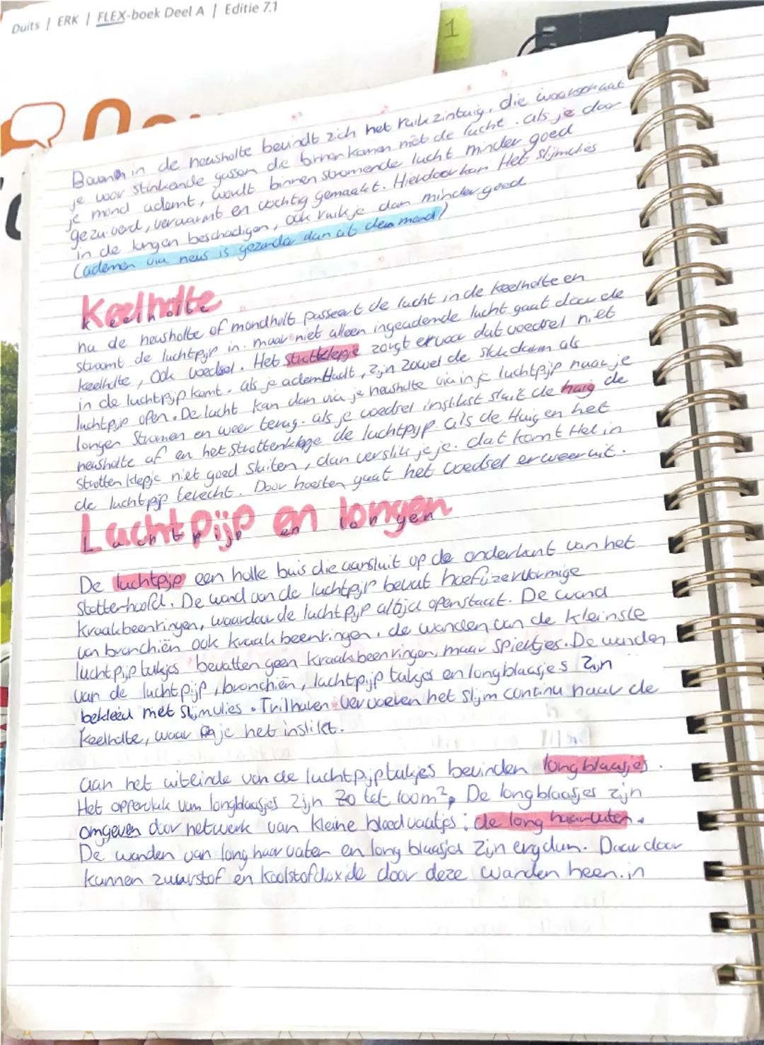 # BIOLOGIE 1.3
Het ademhaling stelsel
Tijdens het inademen gaat de lucht via de neusholte of
Mondholte naa de keelholte, verudgens stroomt