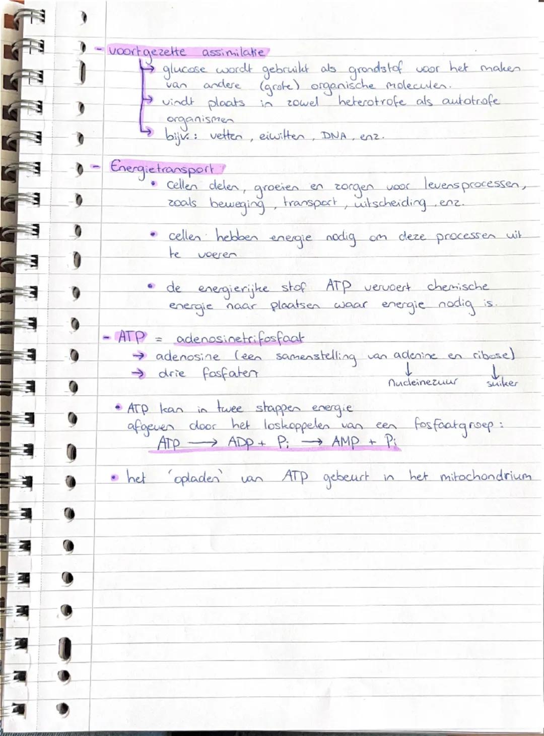 sananbakking Bio
Thema & basisstof 1 chemic in cellen
- stofwisseling (metabolisme) is het geheel van chemische
omzettingsprocessen in e