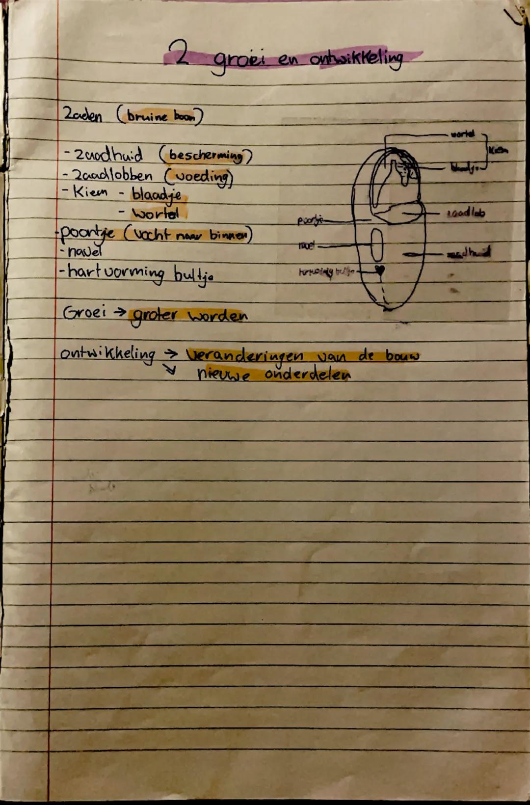 2 groei en ontwikkeling
Zaden (bruine boom)
-zaadhuid (bescherming)
-zaadlobben (voeding)
-kiem - blaadje
-wortel
-poontje (vocht naar binn